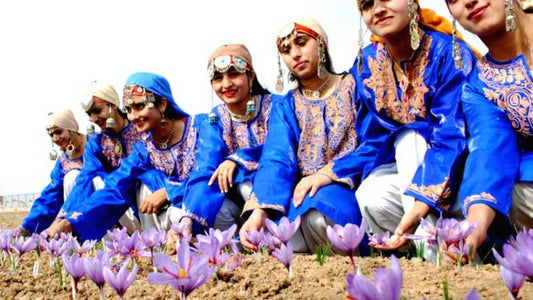 Saffron Festivals Worldwide: Celebrating the Precious Spice