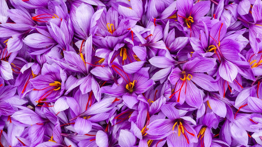 best places to buy saffron