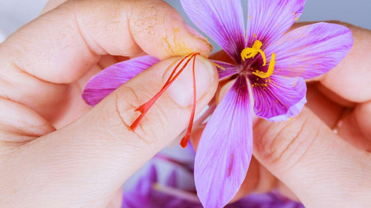 Saffron Certification Standards