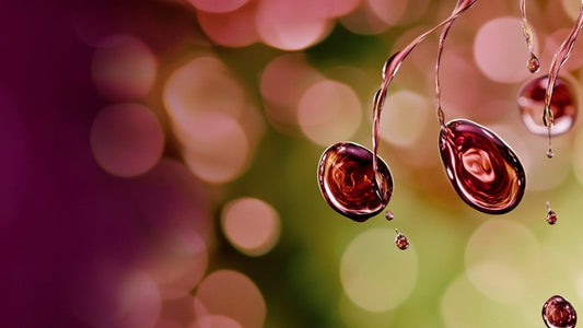 Saffron's Impact on Cholesterol