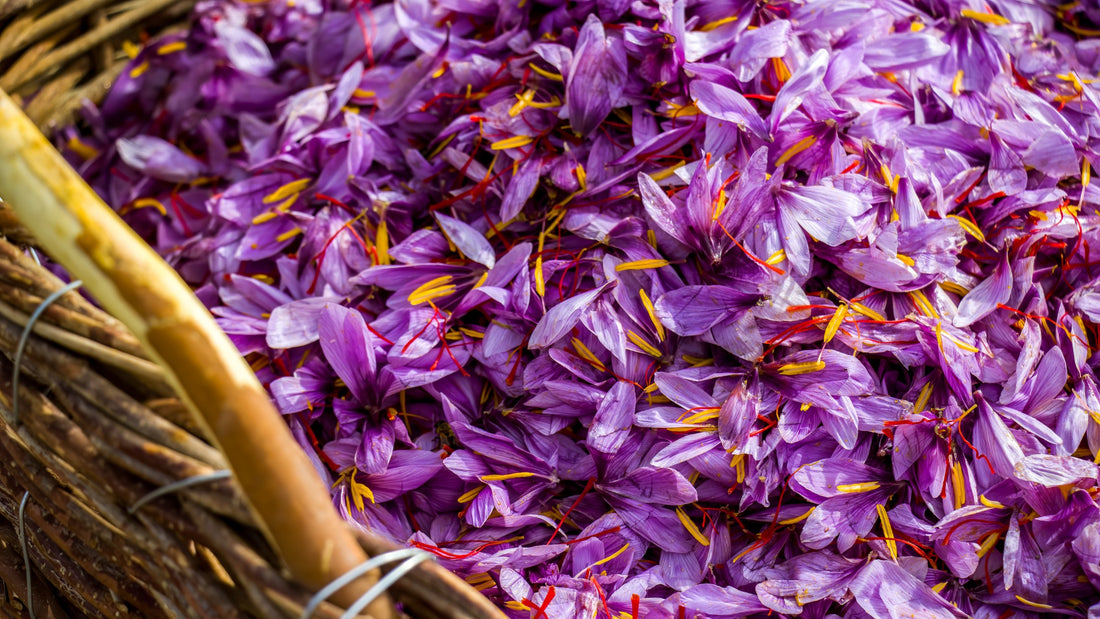 Mood-Enhancing Benefits of Saffron