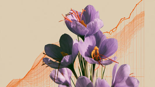Saffron Sustainability and Farmer Economics