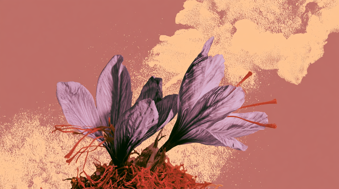 Saffron for Anxiety