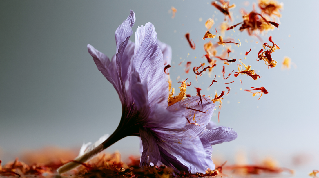 Saffron in Homeopathy